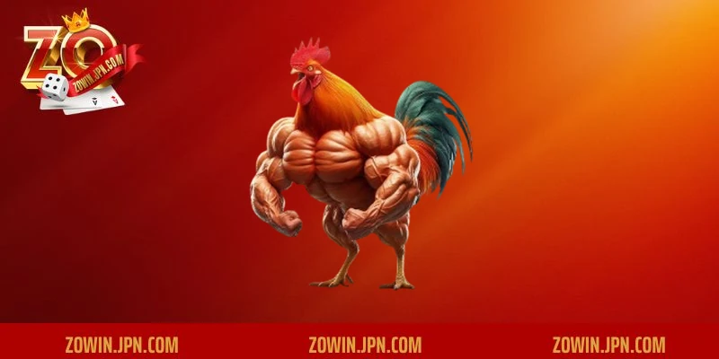 Tìm hiểu ưu điểm của việc mua bán gà đá tại chợ tốt gà đá hậu giang