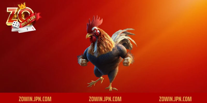 Xem trận đấu của gà để đánh giá kỹ năng