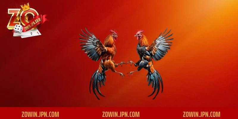  Nắm bắt tầm quan trọng của chợ tốt gà đá sóc trăng ZOWIN